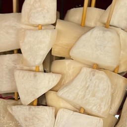 เห็ดนางรมใหญ่