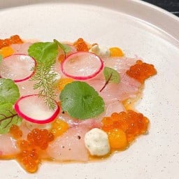 ปลาเก๋าไฟการ์ปัชโช่
