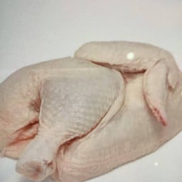 Half Chicken(No BBQ,No Fry) نصف دجاج نيء