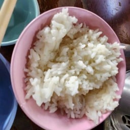 ข้าวเปล่า