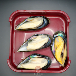 หอยแมลงภู่