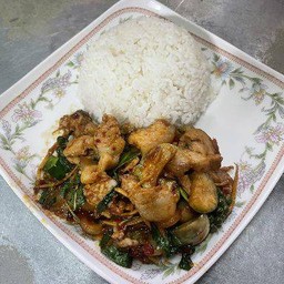 ผัดเผ็ดหมูป่าราดข้าว