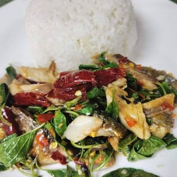 ข้าวปลาทูผัดโหระพา