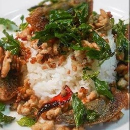 กะเพราไข่เยี่ยวม้าหมูสับ