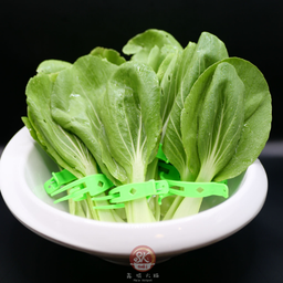 ผักกวางตุ้ง