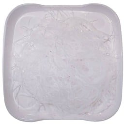 วุ้นเส้น