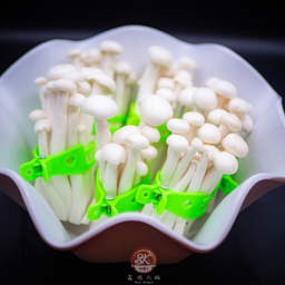 เห็ดชิเมจิ