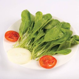 Rocket Salad جرجير ساده