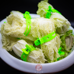 ผักกาดขาว