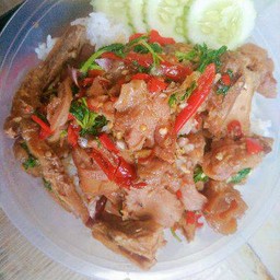 ผัดกระเพราเนื้อเปื่อยเอ็นแก้วฉ่ำๆราดข้าวไข่ดาวหอมๆต้องลอง