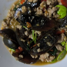 กระเพราไข่เยี่ยวม้า+หมูสับ พริกแห้ง (ราดข้าว)