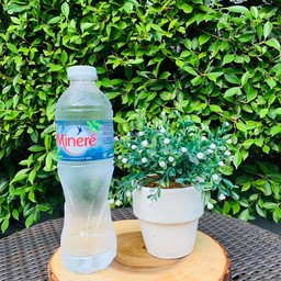 MINERAL WATER