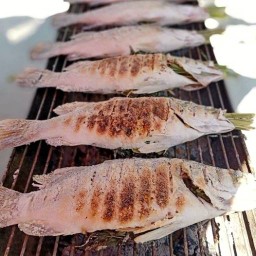 กูขายกะพงเผา