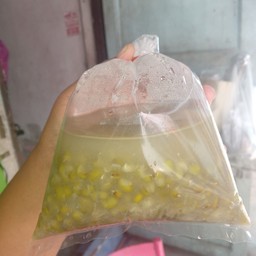 ถั่วเขียวต้มน้ำตาล
