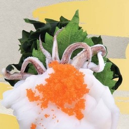 Ika Sashimi/ปลาหมึกกล้วยซาชิมิ