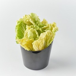 ผักกาดขาว