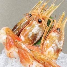 Botan Sashimi/กุ้งโบตันซาชิมิ 3 ตัว