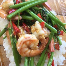 @ฉุนกะเพรา โป่ง