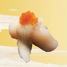 Hotate Engawa Sushi