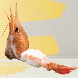 Botan Sushi/ซูชิกุ้งโบตัน