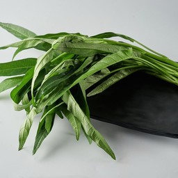 ผักบุ้ง