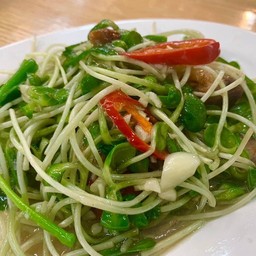 ต้นอ่อนทานตะวันผัดน้ำมันหอย