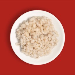 ข้าวบาร์เลย์ Barley