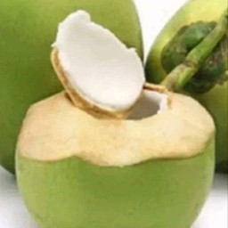 มะพร้าวน้ำหอม