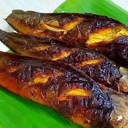 ปลาดุกย่าง