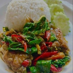 กะเพราเนื้อปลากะพงราดข้าว