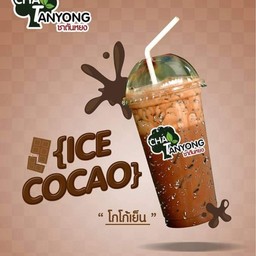 โกโก้เย็น