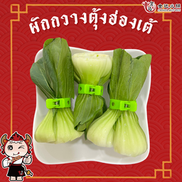 ผักกวางตุ้งฮ่องเต้
