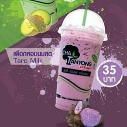 เผือกหอมนมสด