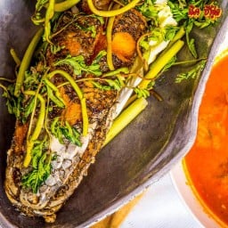 ปลาช่อนแป๊ะซะ