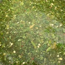 น้ำจิ้มซีฟู้ด