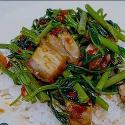 ผักบุ้งหมูกรอบราดข้าว