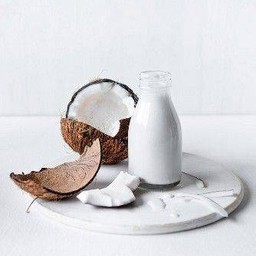 มะพร้าว นมสด