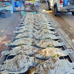 เมี่ยงปลาเผาไชค์กลาง