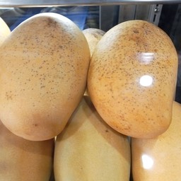 มะม่วงปั่น