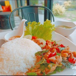 กะเพราหมูชิ้นราดข้าว+ไข่ดาว