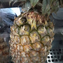 สัปรดปั่น