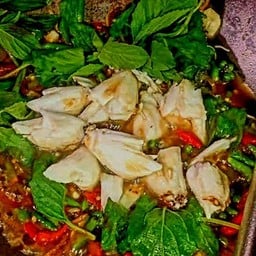 ผัดฉ่าเนื้อปูก้อนราดข้าว