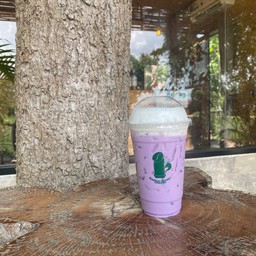 นมเผือก