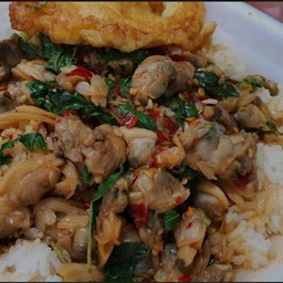 กะเพราเนื้อหอยลายราดข้าว