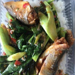 ข้าวคะนัาปลากระป๋อง