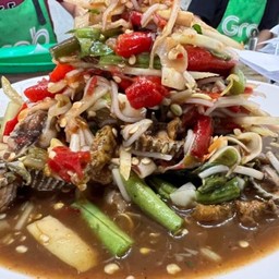 ตำโคตรป่า