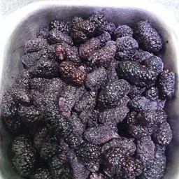 มัลเบอร์รี่ปั่น