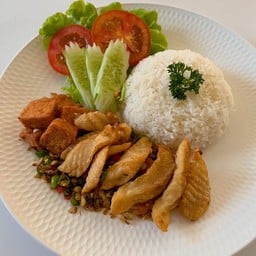 ข้าวปลานิล เต้าหู้ปลา คั่วพริกเกลือ