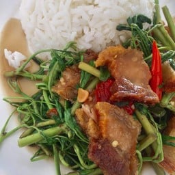 ข้าวราดผัดผักกระเฉด