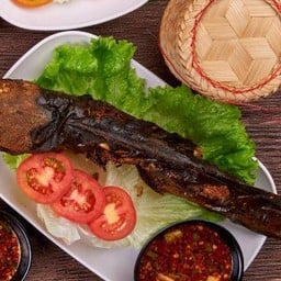 ปลาดุกย่าง